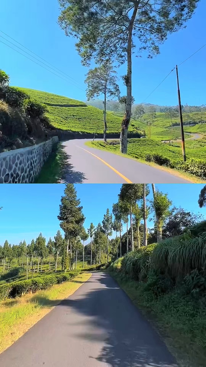 2 vídeos 1 layout