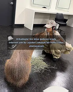 Üzgünüm