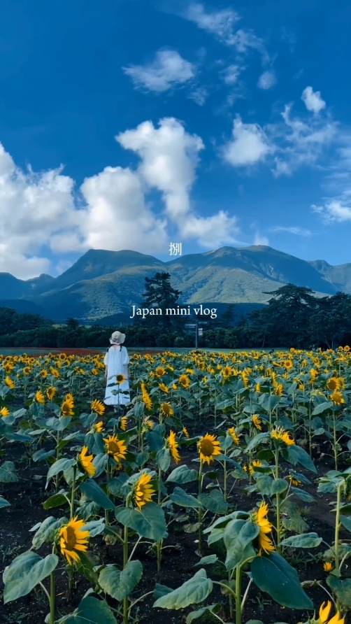 japan mini vlog 