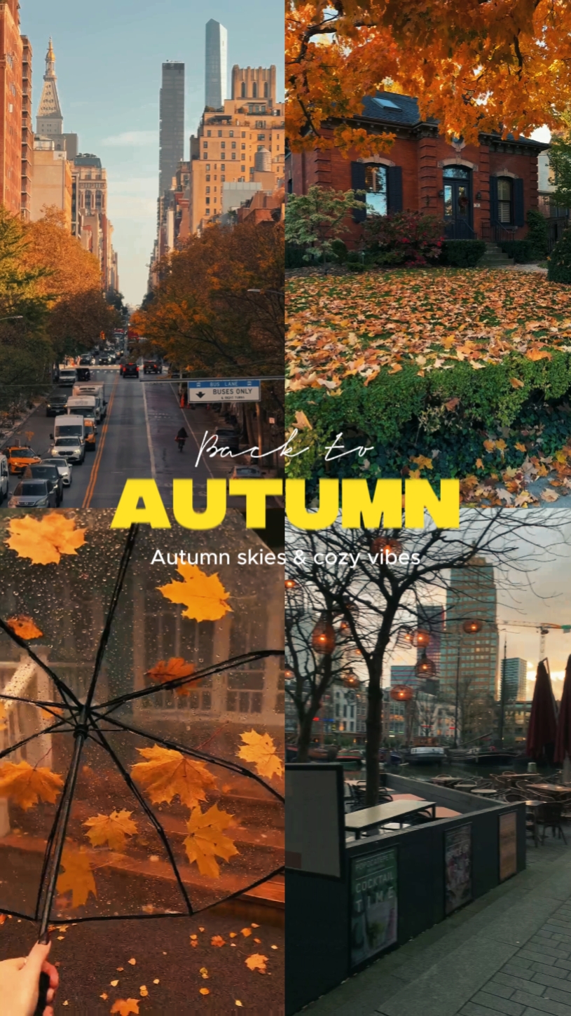 back to autumn