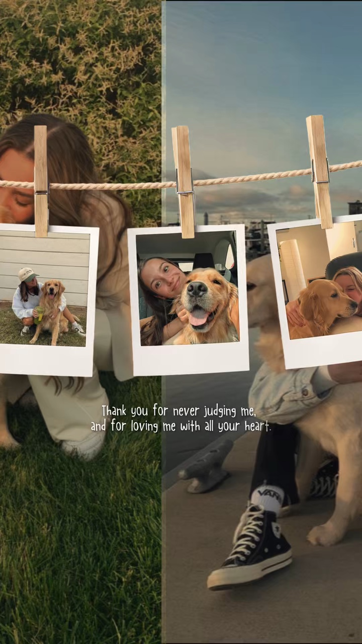 köpeğimi seviyorum