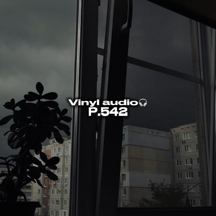 Audio de vinilo p.542🎧