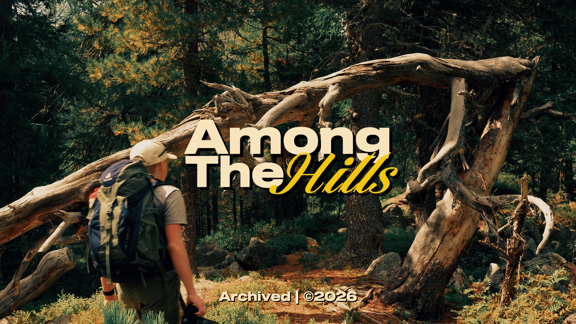 AMONG THE HILLS