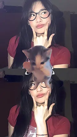 KICAU MANIA KUCING