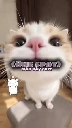 One spot