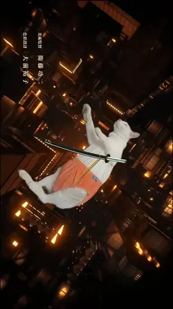 CASTLE INFINITY KNYB