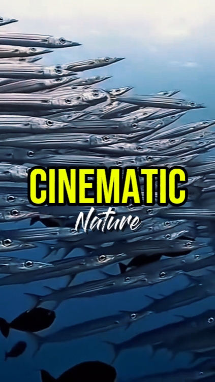 Cinematic