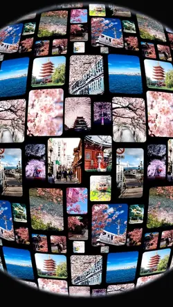 ロマンチックな桜の季節