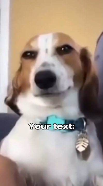 Grinsender Hund