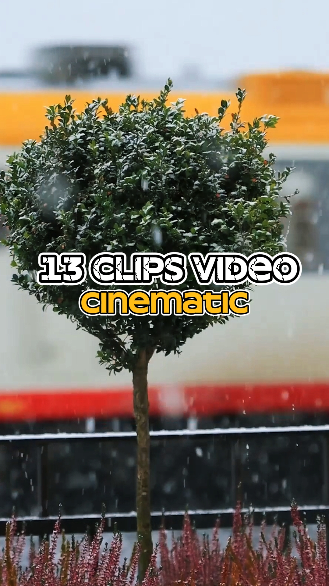 13 Clips Video