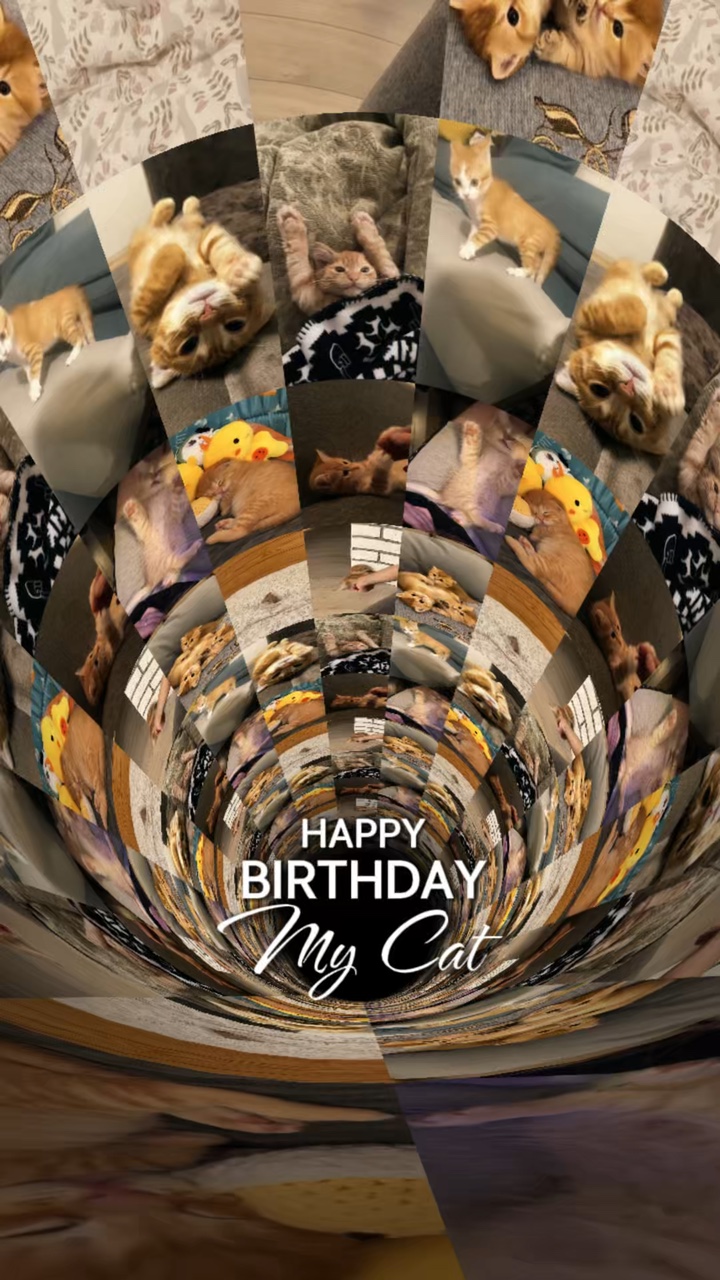 Aniversário meu gato