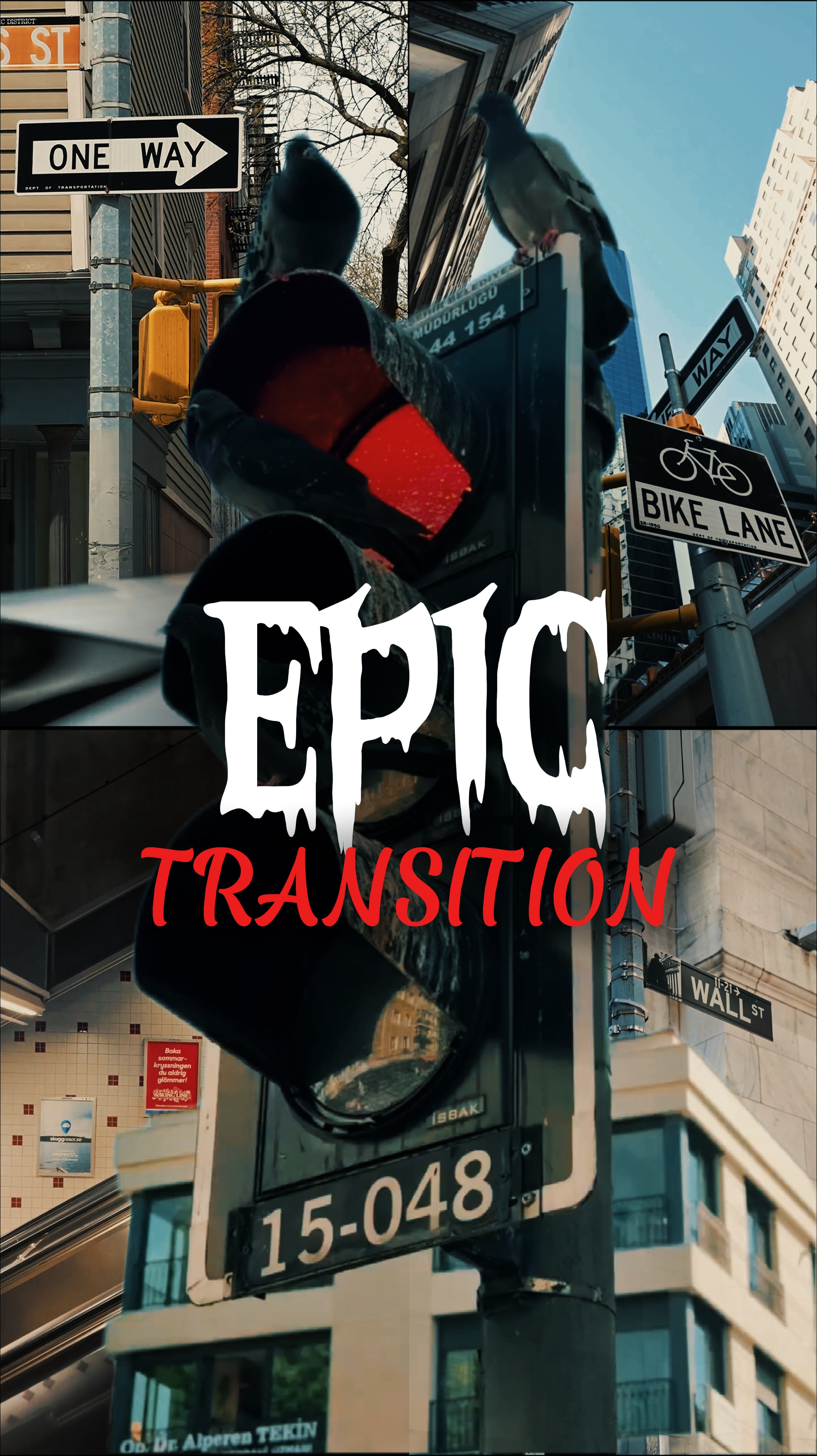 Epic Transition Template Vertical - Pippit