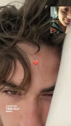 videocall 