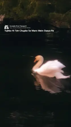 Tu he Hamsafar
