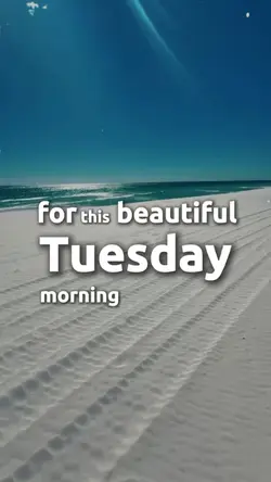Tuesday Morning