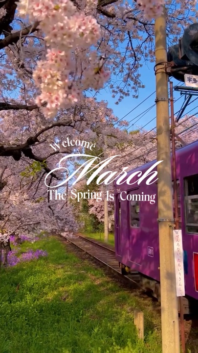 Bienvenido marzo