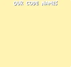 Code names ๐คญ