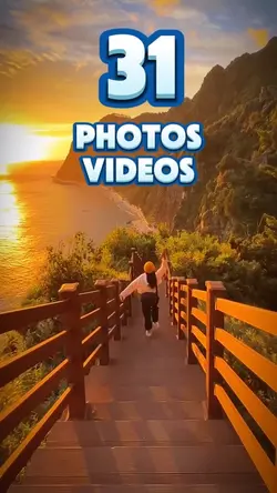 31 photos or videos 