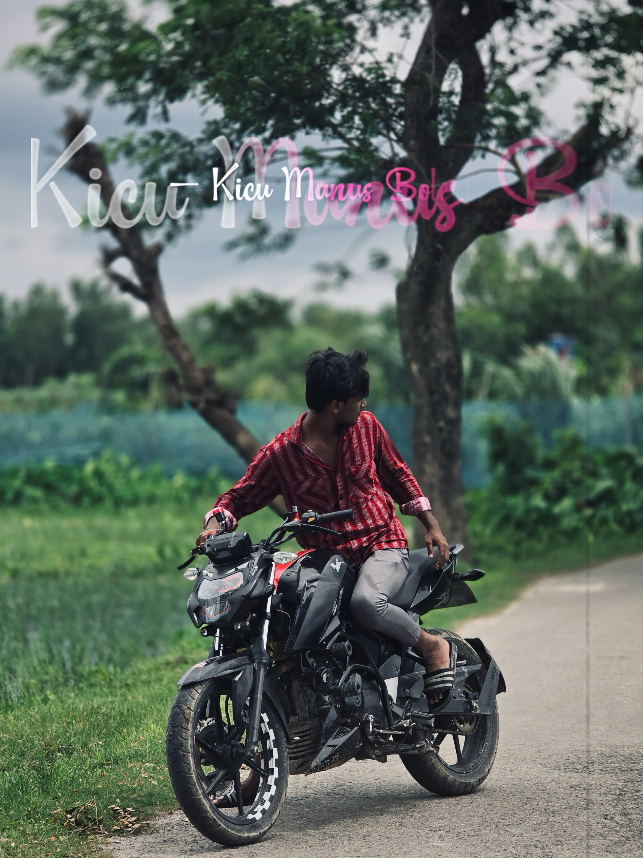 Cover Picture