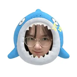 icon shark frame