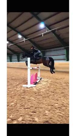 Horse Edit