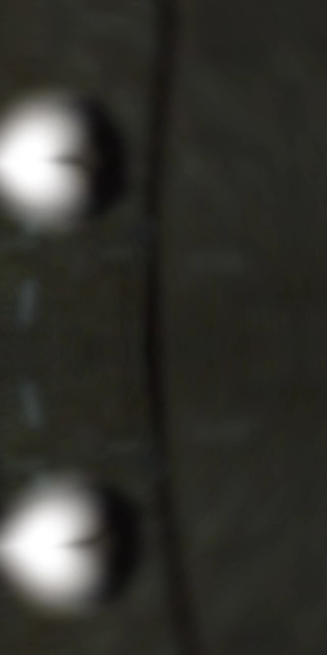 ကျန်နွားပေါ့ဗျာ