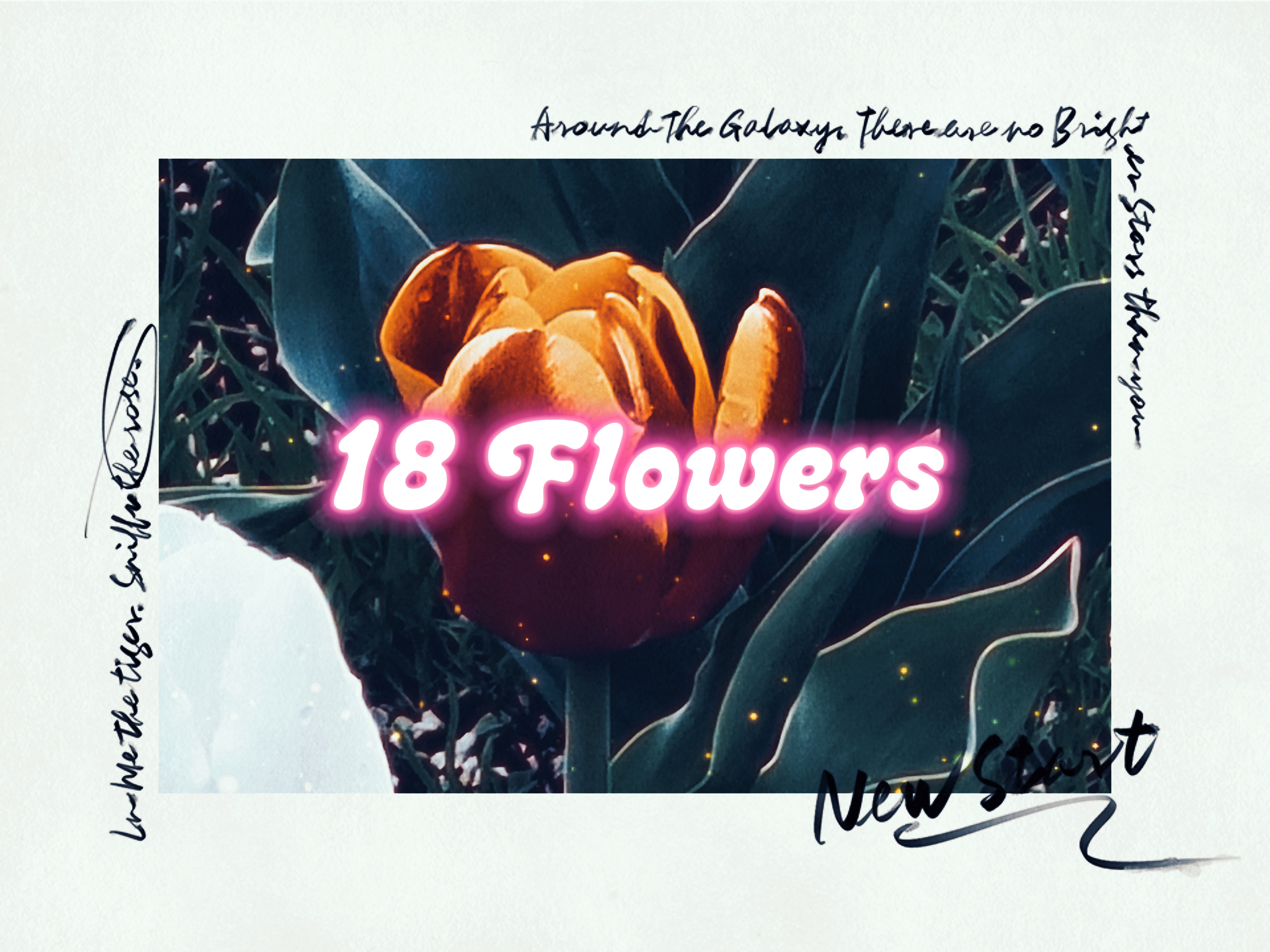 18 Flowers
