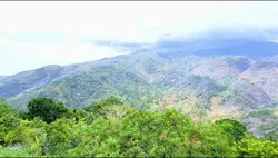 Bukid
