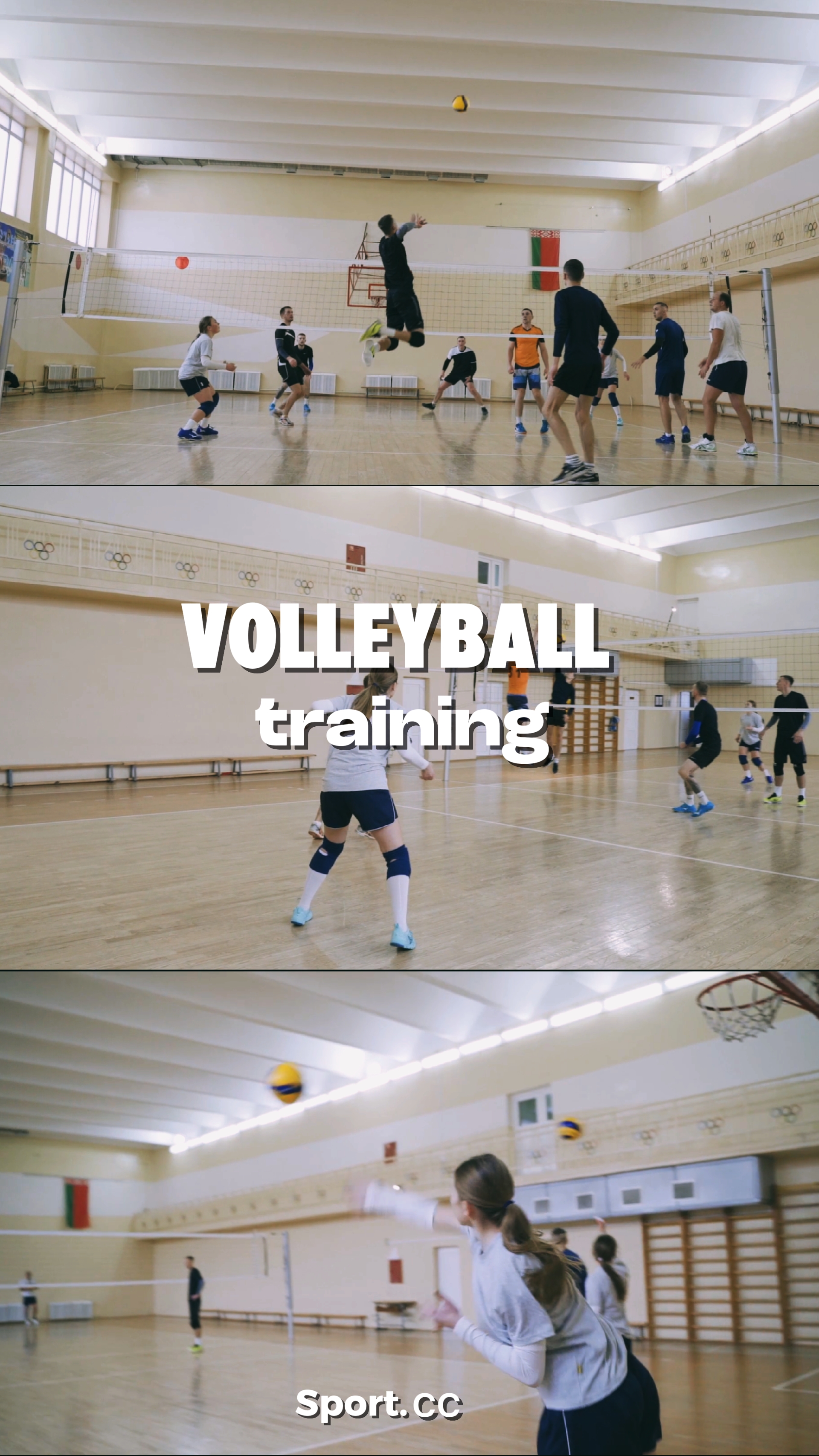 Volleyball training 