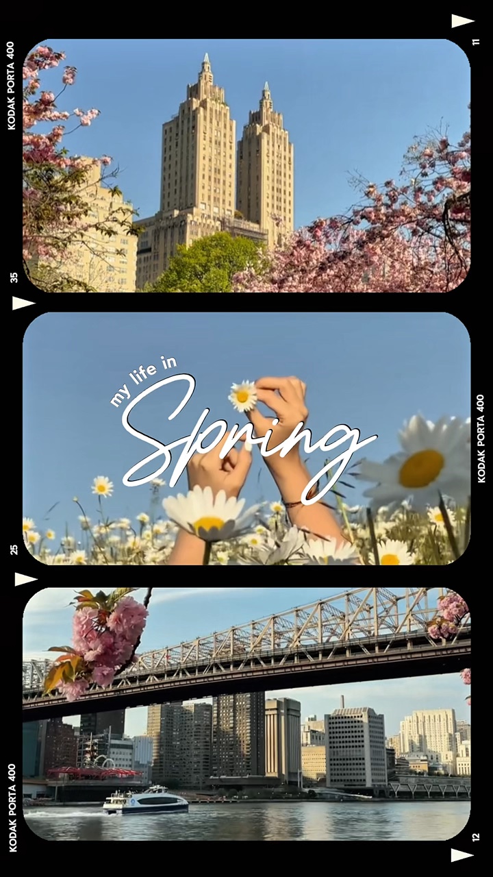 Spring Time🌷
