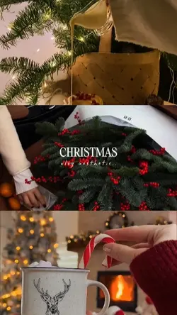 christmas vlog aesth