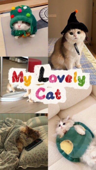 Alles Gute zum Katzentag