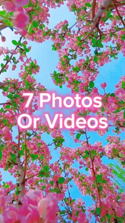 7 Photo Slides