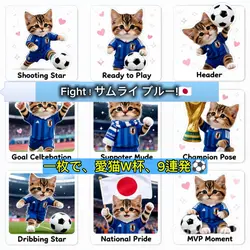 一枚で愛猫をW杯選手に