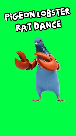 PIGEON LOBSTER RAT