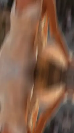 Ricordi in 3D che sembrano uscire dallo schermo