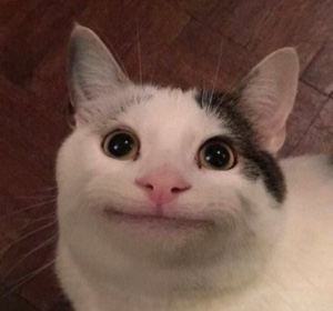 Anime Filter