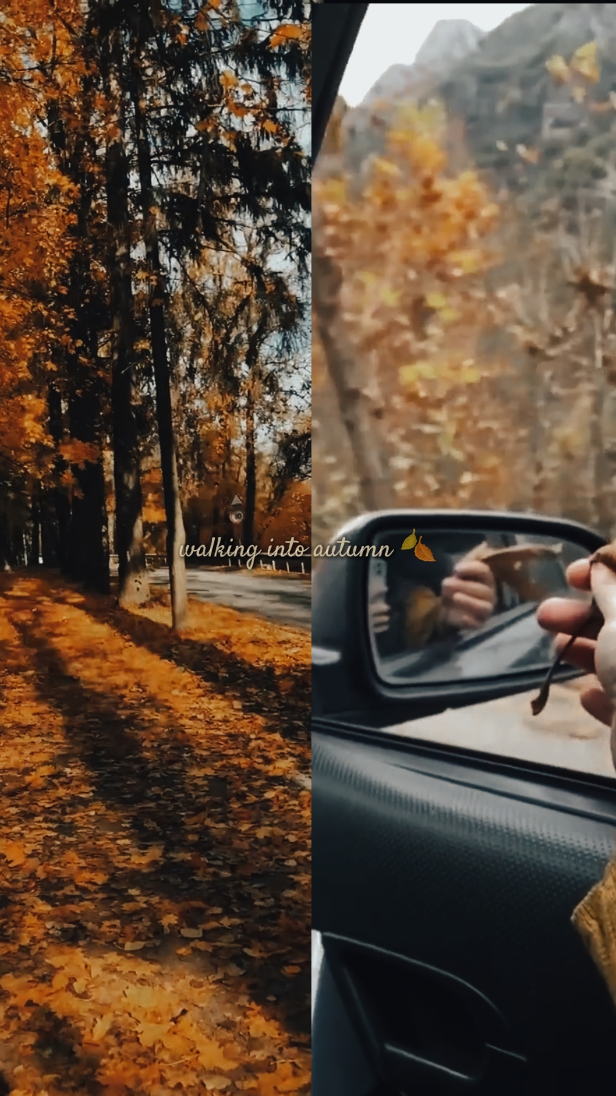 Herbstlaub