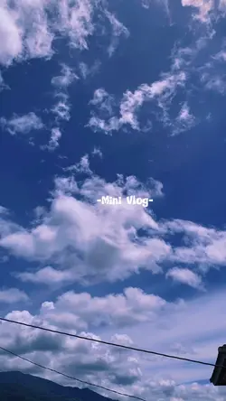 MinVlog Family