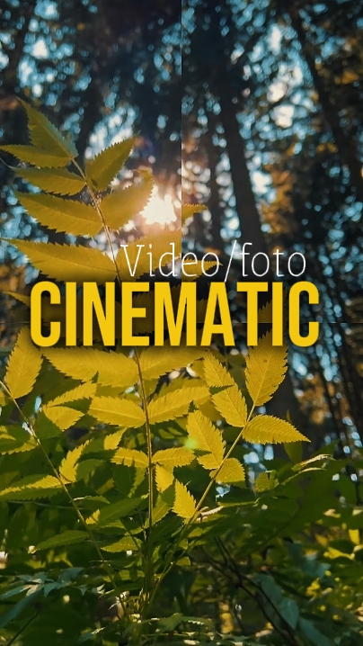 5 Video or Photo 