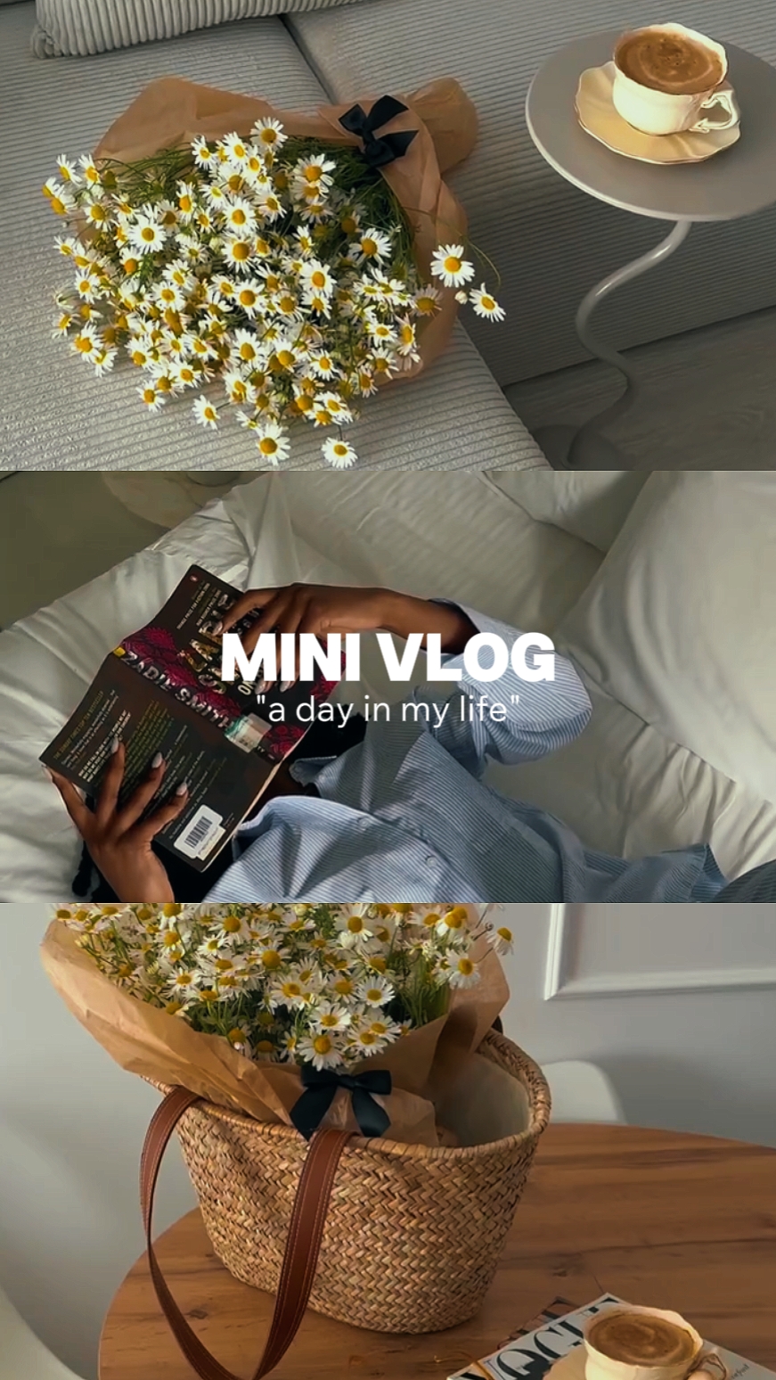 vlog mini 