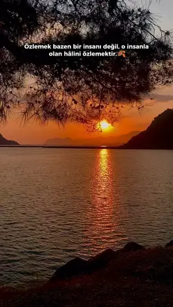 Yeni Şablon