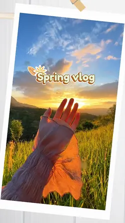 Spring Vlog