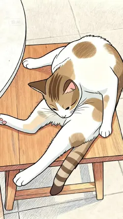 Kucing mandi
