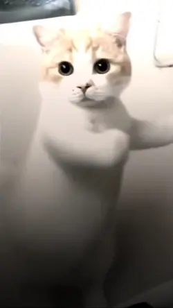 marsha trend tiktok