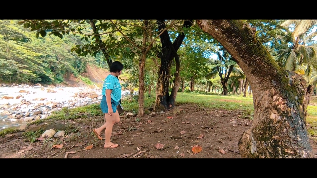 Introducción a la película cinematográfica