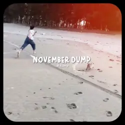NOVEMBER DUMP