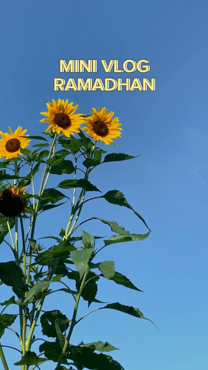 Mini vlog ramadan