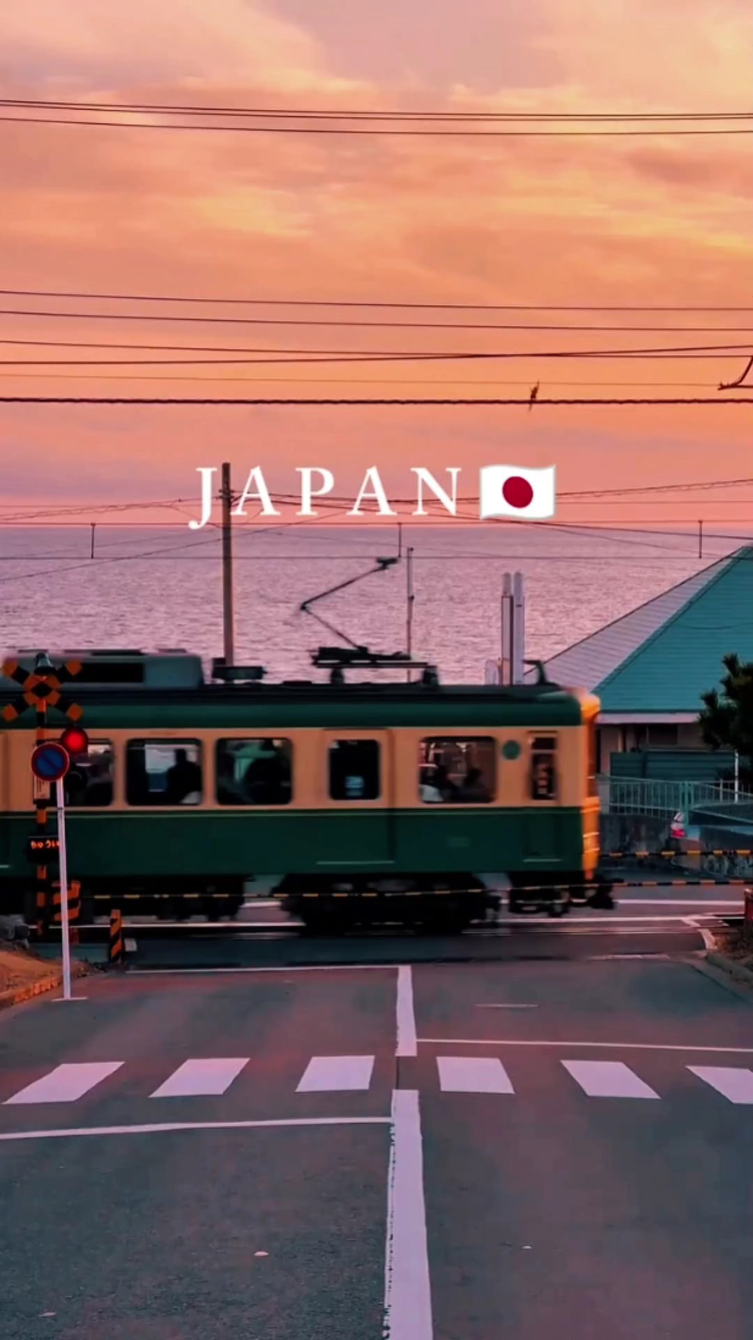 Ven a Japón 