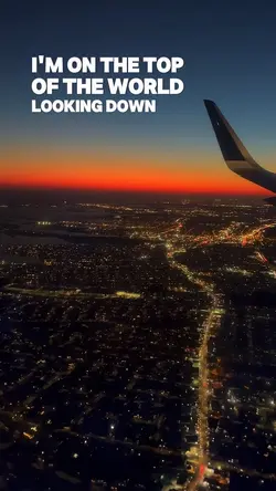 Plane View